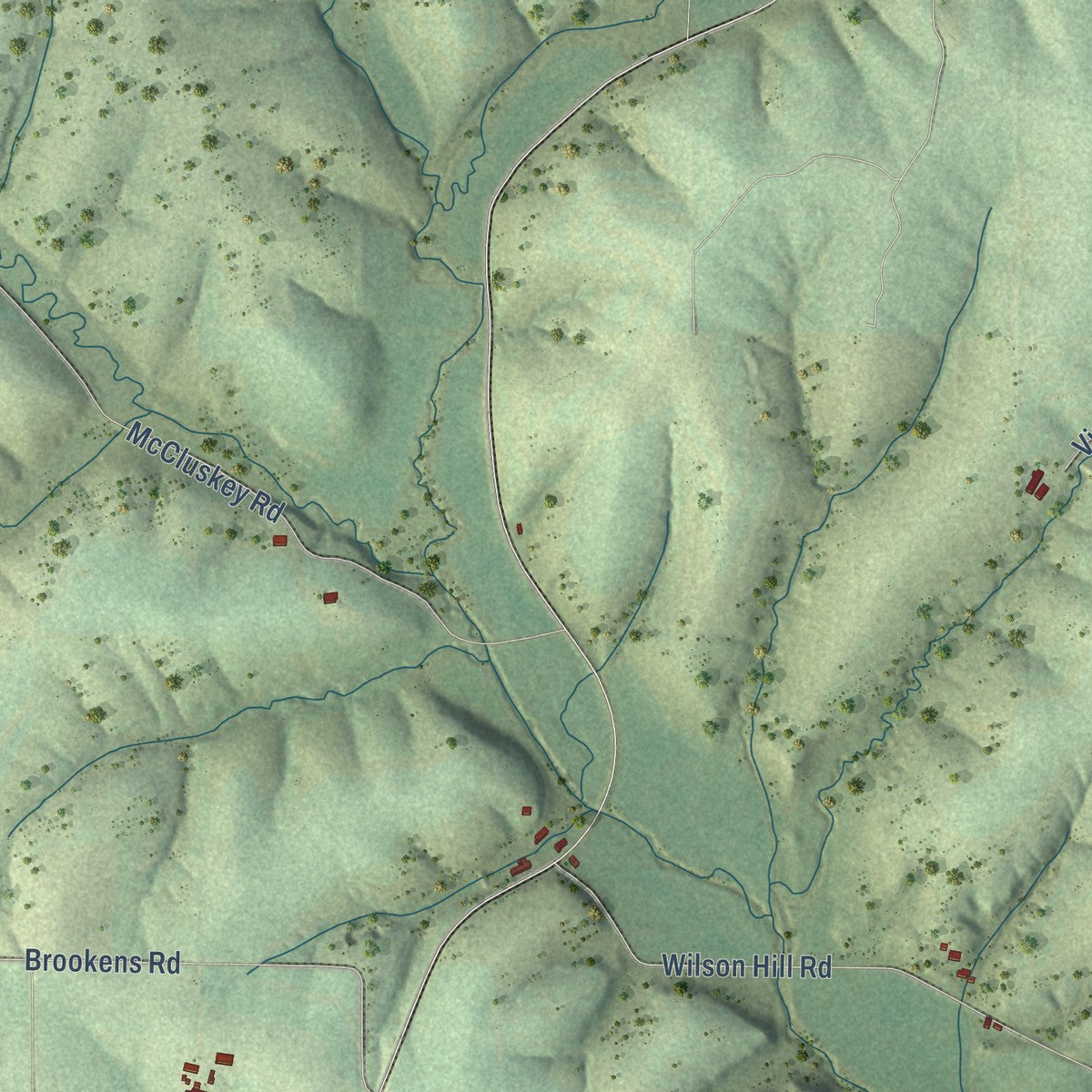 Second close-up of the map of Little Grant, Wisconsin print showing more streets and buildings