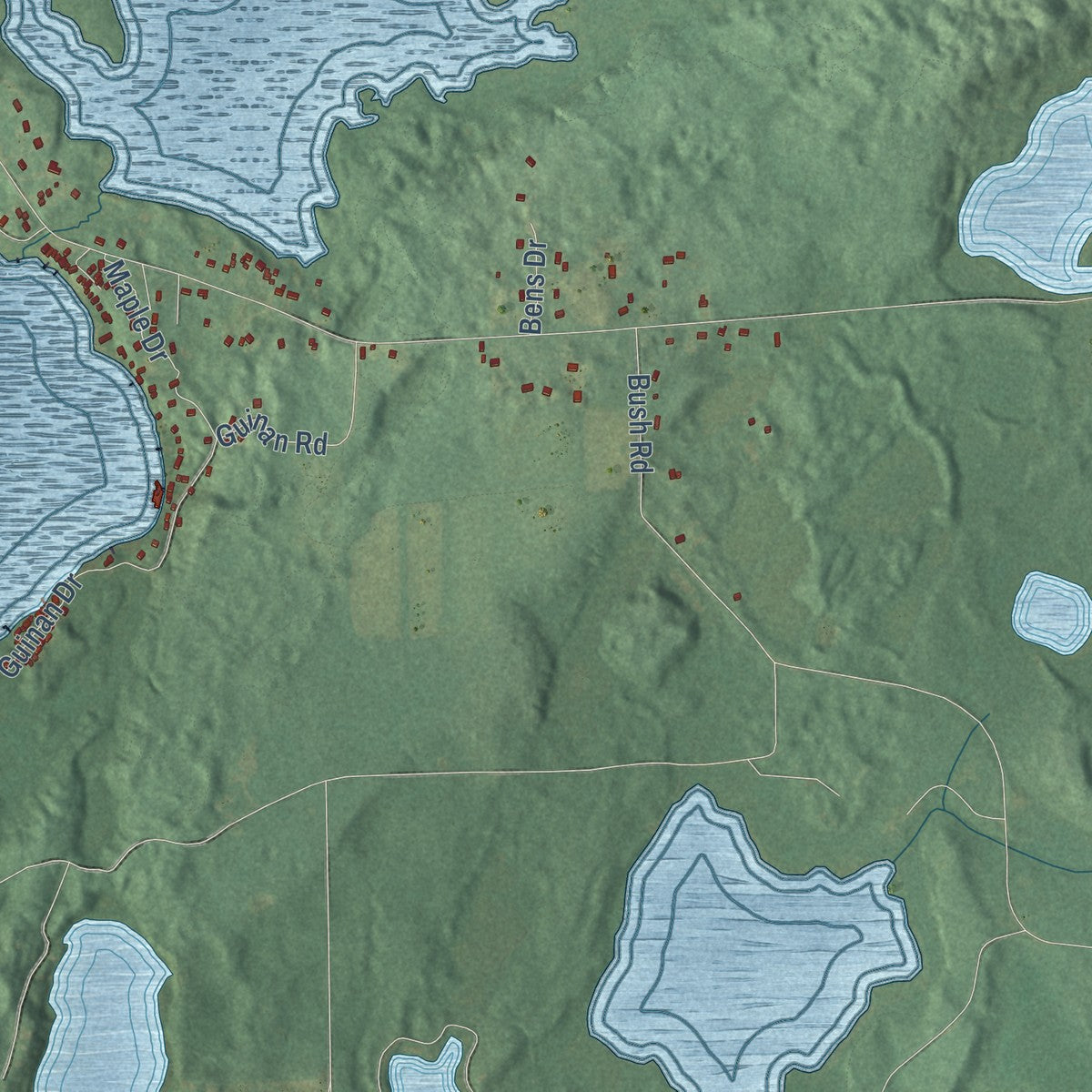 Second close-up of the map of Lyndon, Michigan print showing more streets and buildings