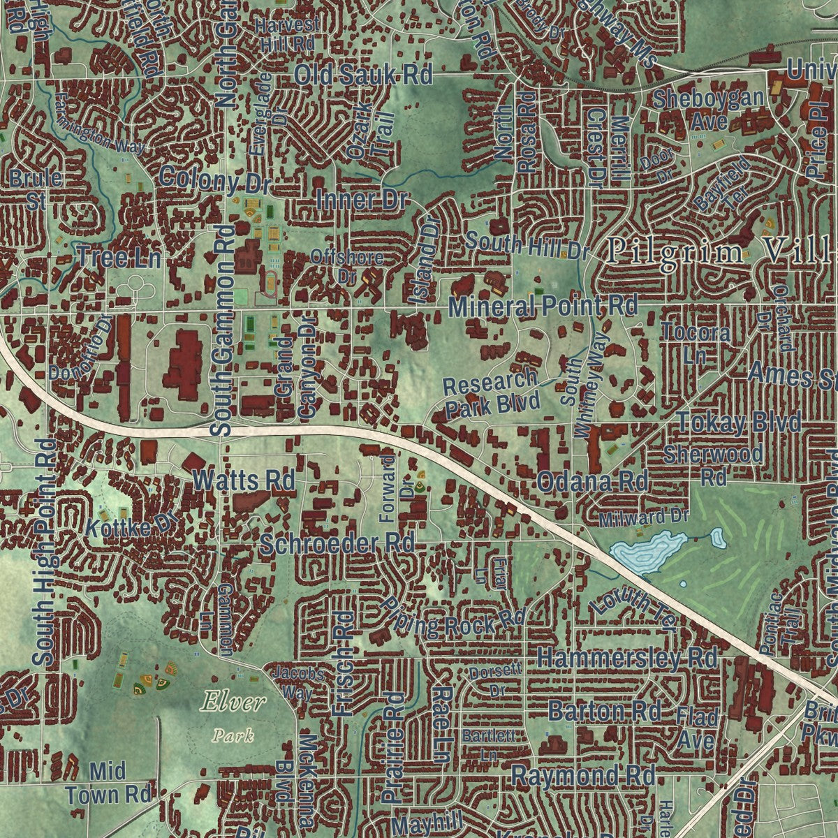 Close-up of the map of Madison, Wisconsin print showing street and building detail