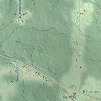 Second close-up of the map of Maple, Wisconsin print showing more streets and buildings