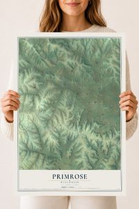 Map of Primrose, Wisconsin, 18 x 24 inch unframed archival matte print