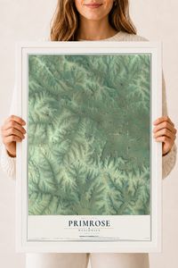 Map of Primrose, Wisconsin, 18 x 24 inch print in a white wood frame