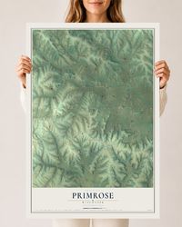 Map of Primrose, Wisconsin, 24 x 36 inch unframed archival matte print