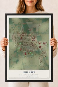Map of Pulaski, Brown County, Wisconsin, 18 x 24 inch print in a black wood frame