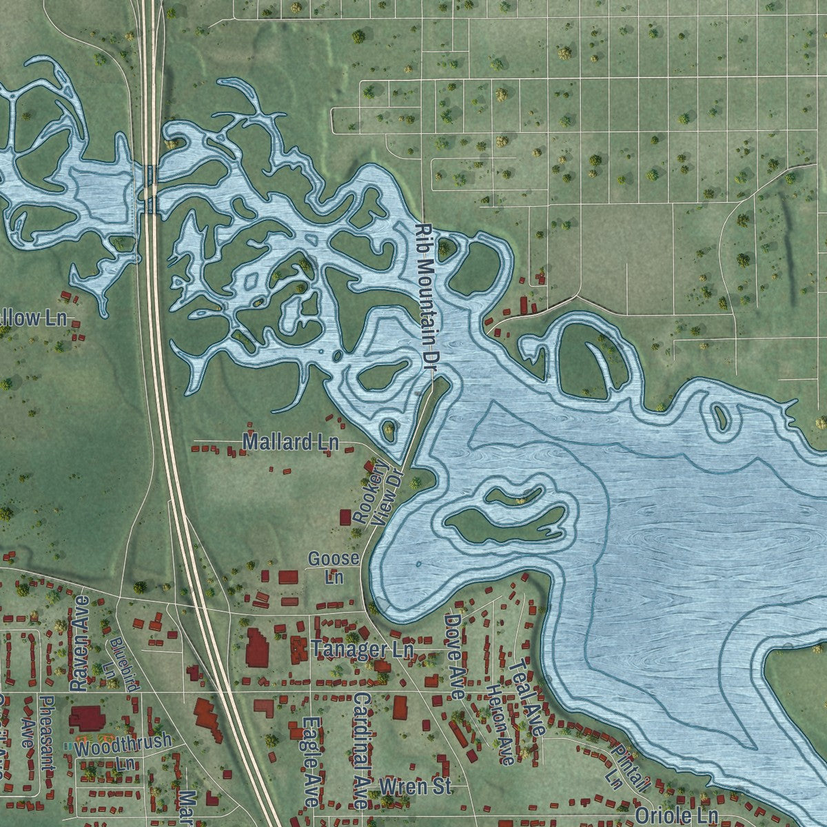 Second close-up of the map of Rib Mountain, Wisconsin print showing more streets and buildings