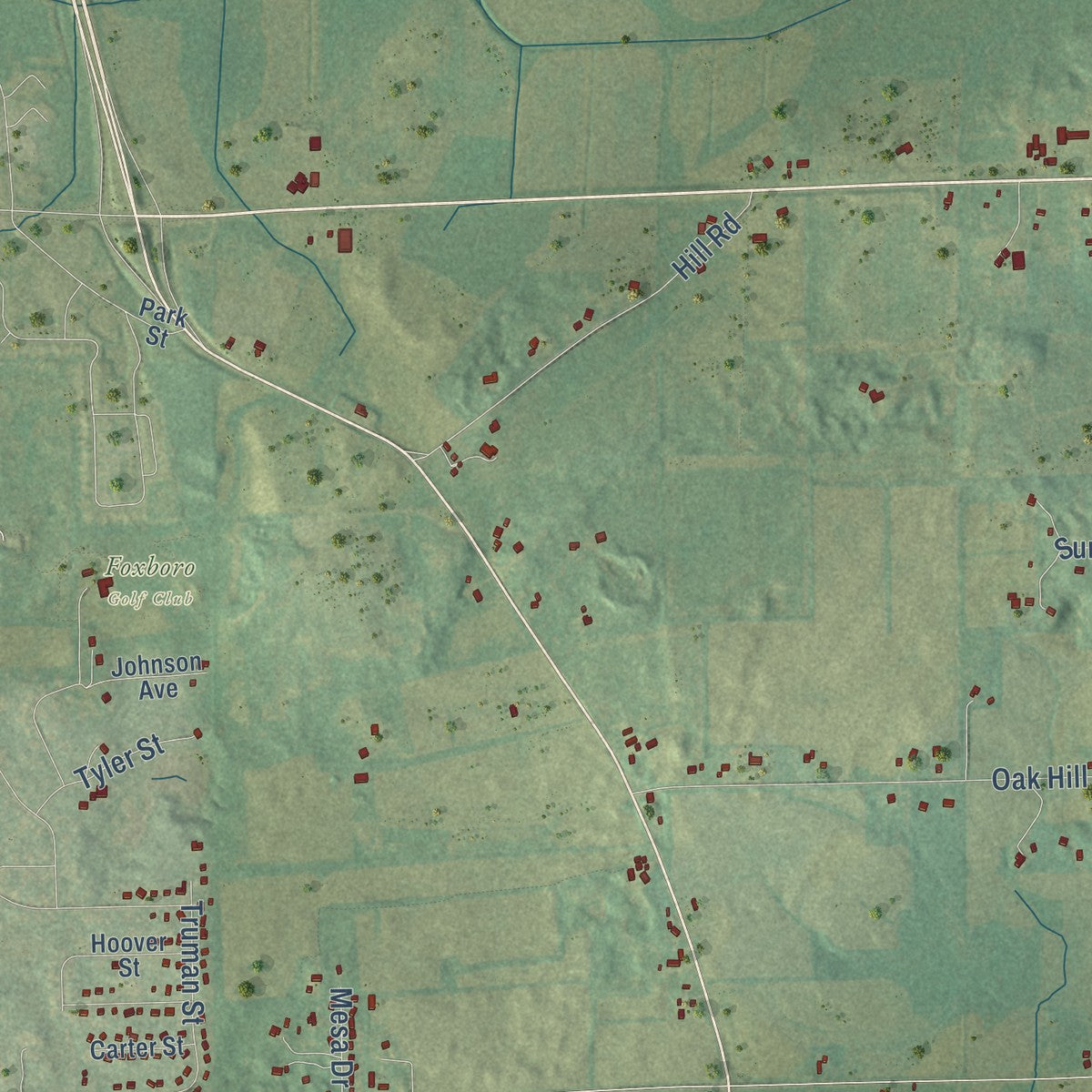 Close-up of the map of Rutland, Wisconsin print showing street and building detail