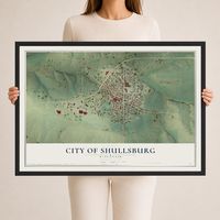 Map of Shullsburg, Wisconsin, 24 x 36 inch print in a black wood frame