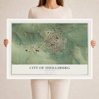 Map of Shullsburg, Wisconsin, 24 x 36 inch print in a white wood frame
