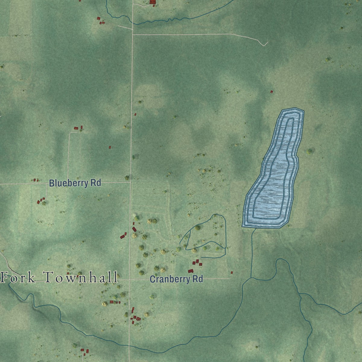 Close-up of the map of South Fork, Wisconsin print showing street and building detail