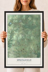 Map of Springfield, Dane County, Wisconsin, 18 x 24 inch print in a black wood frame