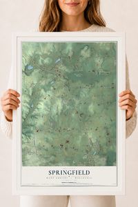 Map of Springfield, Dane County, Wisconsin, 18 x 24 inch print in a white wood frame