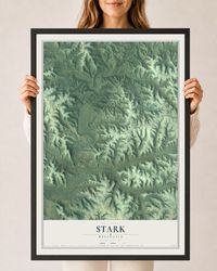 Map of Stark, Wisconsin, 24 x 36 inch print in a black wood frame