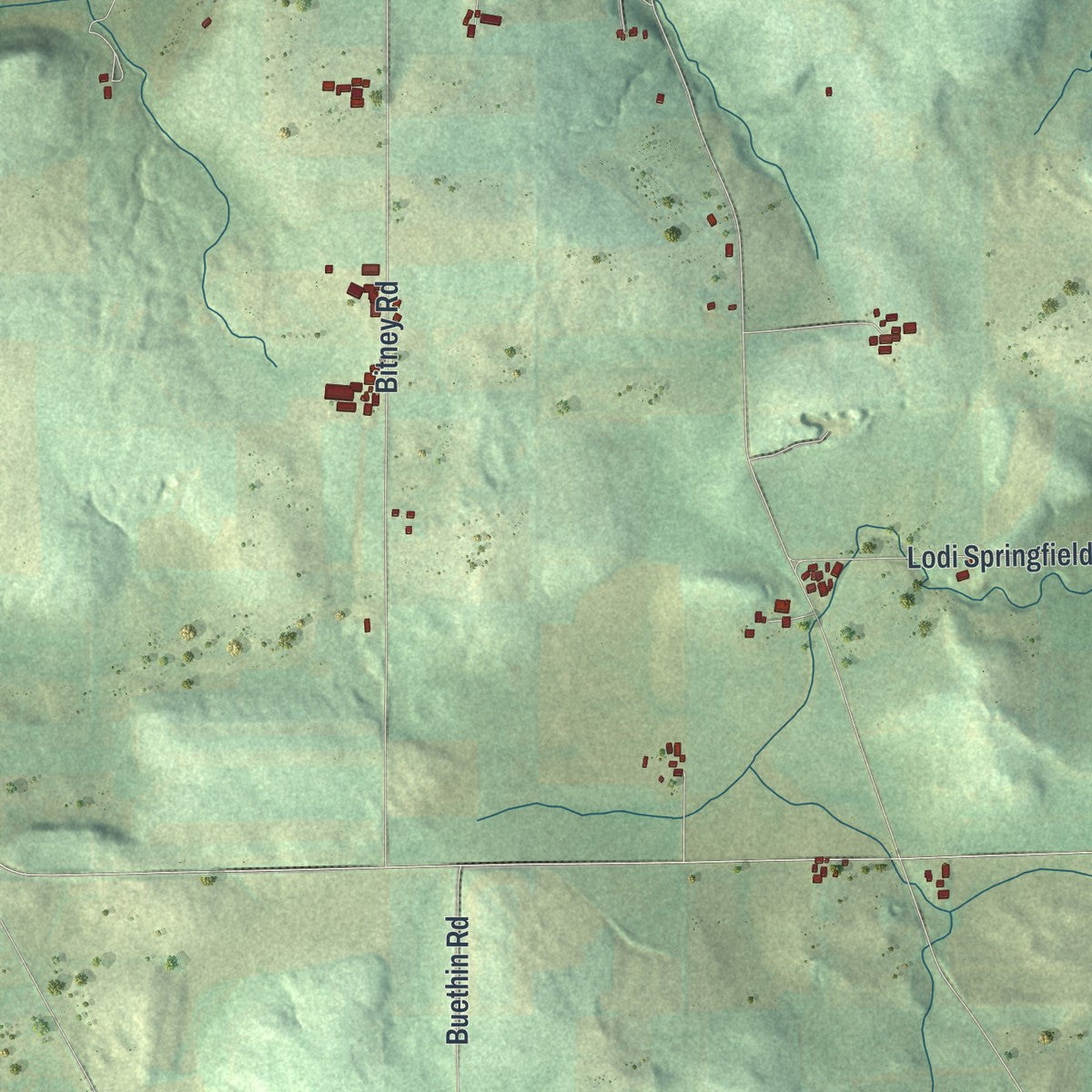 Second close-up of the map of the Town of Dane, Wisconsin print showing more streets and buildings