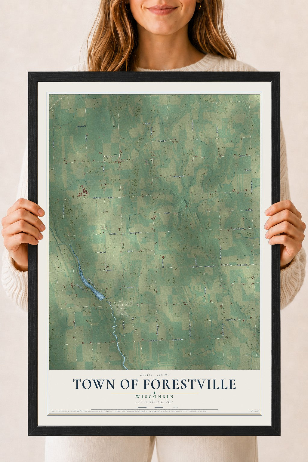 Map of the Town of Forestville, Wisconsin, 18 x 24 inch print in a black wood frame