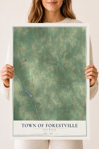 Map of the Town of Forestville, Wisconsin, 18 x 24 inch unframed archival matte print