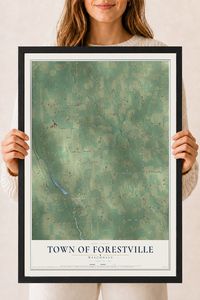 Map of the Town of Forestville, Wisconsin, 18 x 24 inch print in a black wood frame