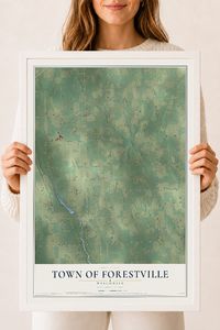 Map of the Town of Forestville, Wisconsin, 18 x 24 inch print in a white wood frame
