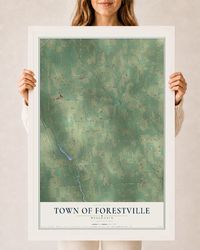 Map of the Town of Forestville, Wisconsin, 24 x 36 inch print in a white wood frame