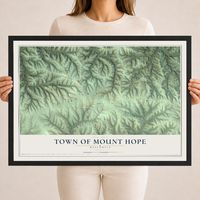 Map of the Town of Mount Hope, Wisconsin, 18 x 24 inch print in a black wood frame