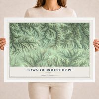 Map of the Town of Mount Hope, Wisconsin, 18 x 24 inch print in a white wood frame