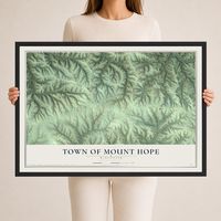 Map of the Town of Mount Hope, Wisconsin, 24 x 36 inch print in a black wood frame