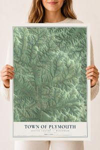 Map of the Town of Plymouth, Juneau County, Wisconsin, 18 x 24 inch unframed archival matte print