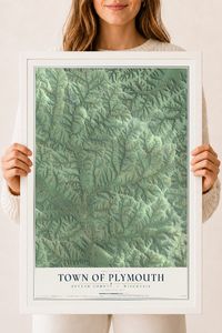 Map of the Town of Plymouth, Juneau County, Wisconsin, 18 x 24 inch print in a white wood frame