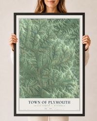 Map of the Town of Plymouth, Juneau County, Wisconsin, 24 x 36 inch print in a black wood frame