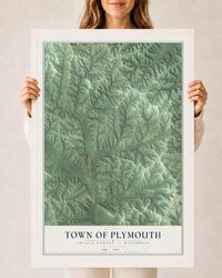 Map of the Town of Plymouth, Juneau County, Wisconsin, 24 x 36 inch print in a white wood frame
