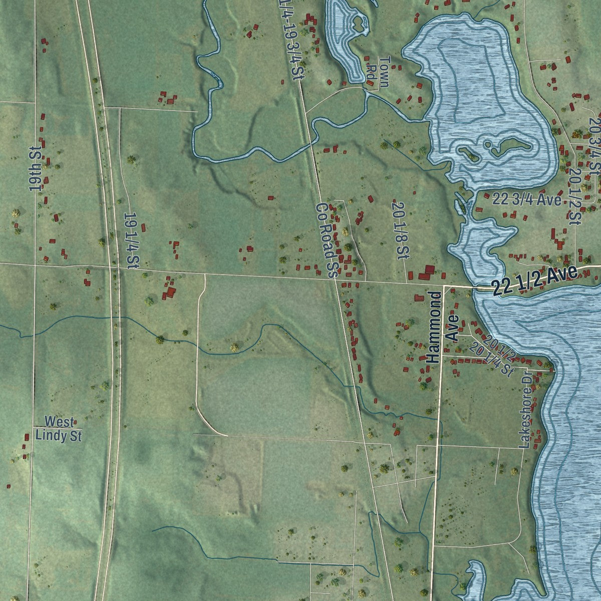 Second close-up of the map of the Town of Rice Lake, Wisconsin print showing more streets and buildings