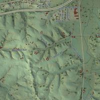 Close-up of the map of the Town of Tomah, Wisconsin print showing street and building detail