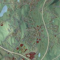 Close-up of the map of the Town of Woodbury, New York print showing street and building detail