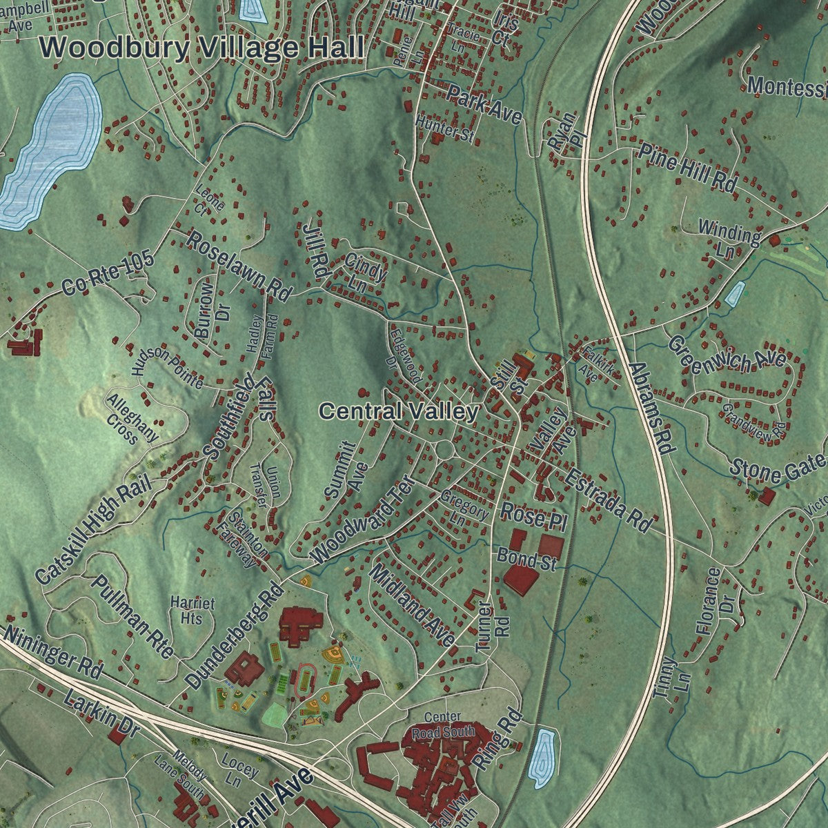Close-up of the map of the Village of Woodbury, New York print showing street and building detail