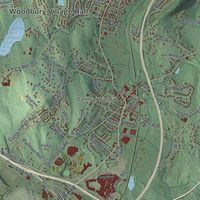Close-up of the map of the Village of Woodbury, New York print showing street and building detail