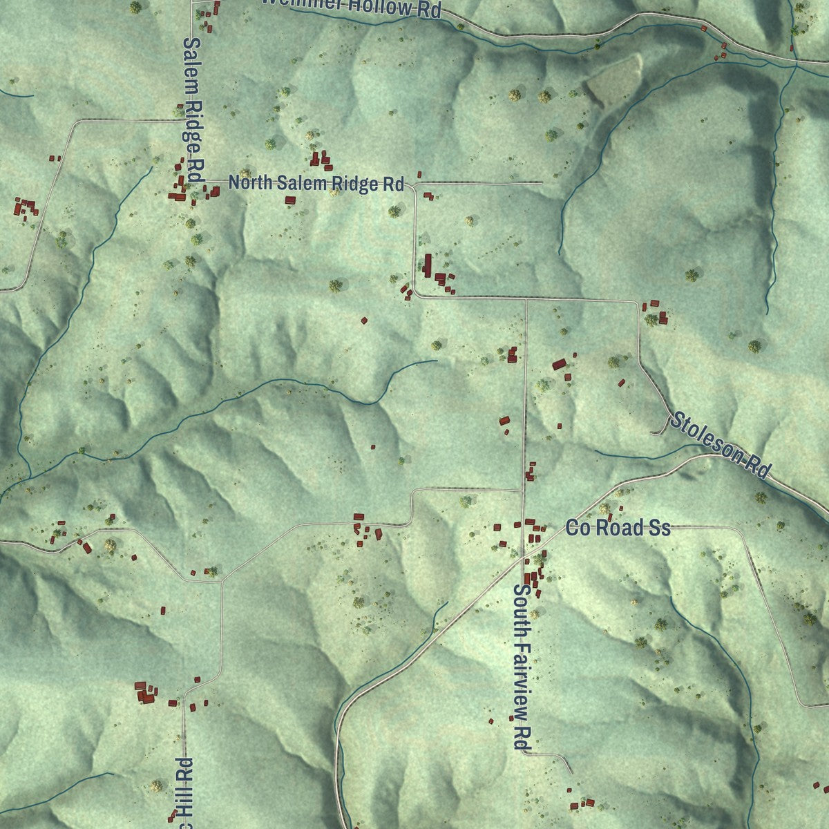 Close-up of the map of Webster, Vernon County, Wisconsin print showing street and building detail