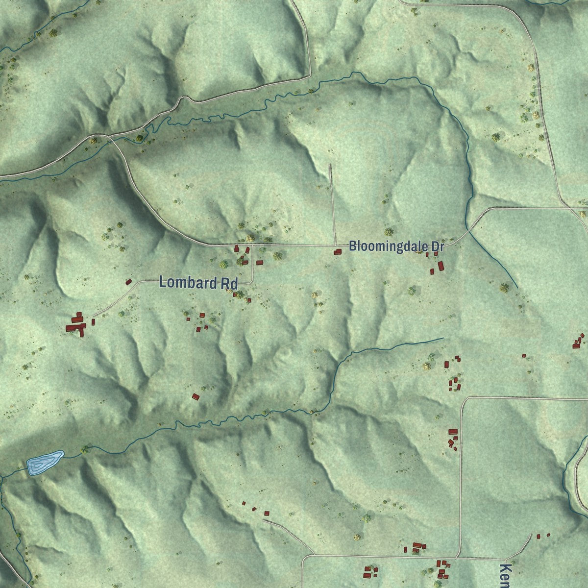 Second close-up of the map of Webster, Vernon County, Wisconsin print showing more streets and buildings