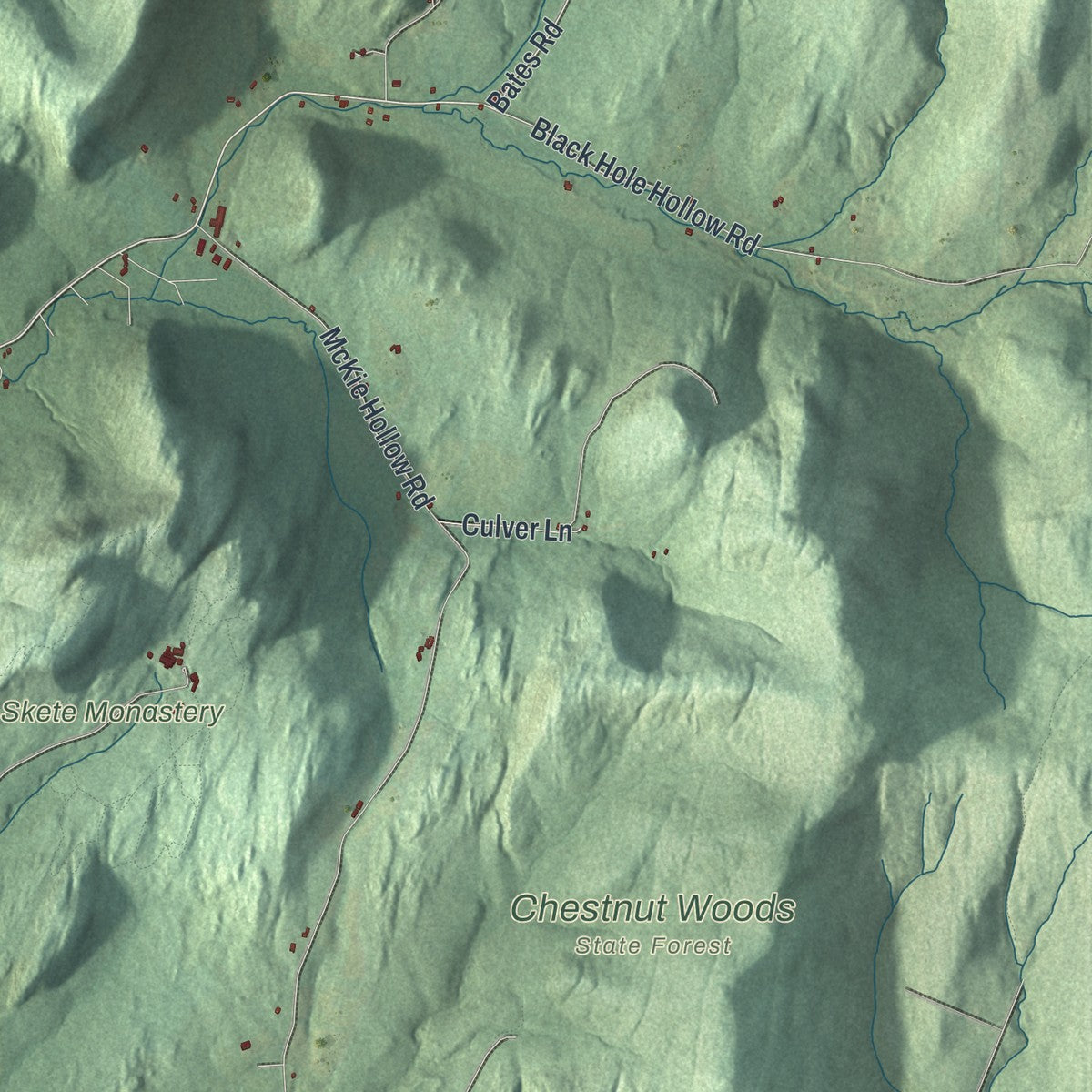 Second close-up of the map of White Creek, New York print showing more streets and buildings