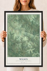 Map of Wilson, Dunn County, Wisconsin, 18 x 24 inch print in a black wood frame