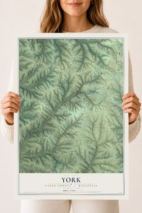 Map of York, Green County, Wisconsin, 18 x 24 inch unframed archival matte print