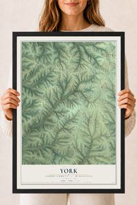 Map of York, Green County, Wisconsin, 18 x 24 inch print in a black wood frame