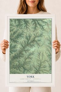 Map of York, Green County, Wisconsin, 18 x 24 inch print in a white wood frame