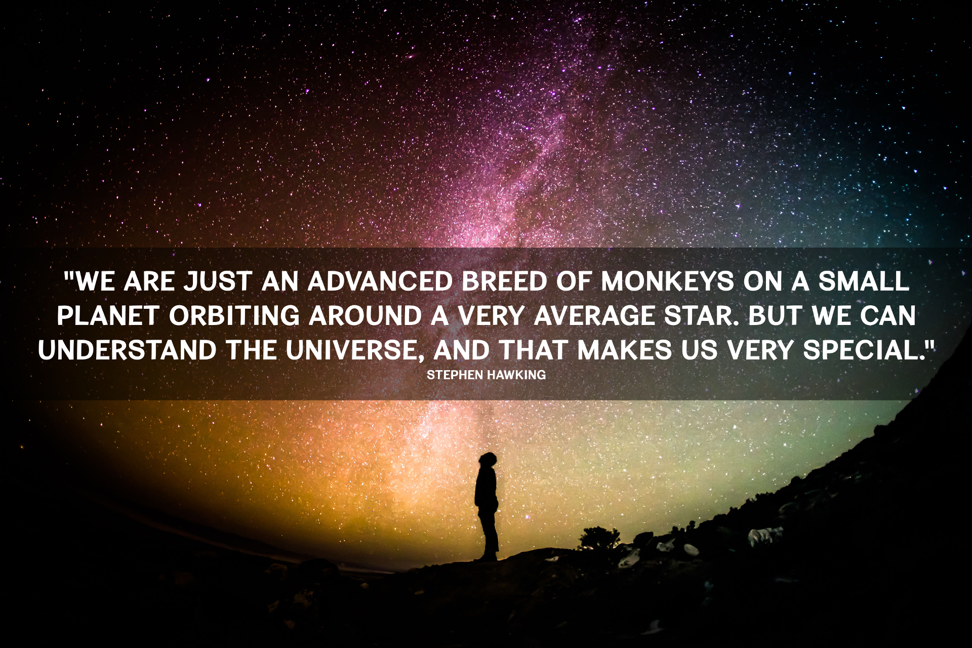 stephen-hawking-monkey-universe-quote-lg
