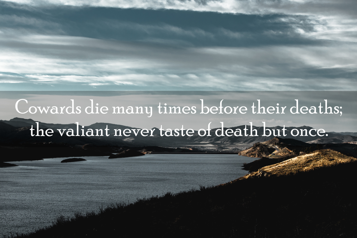 inspirational-courage-quote-08
