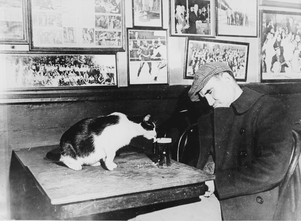 A patron of one of NYC's original dives, "Sammy's Bowery Follies," sleeps at his table while the bar cat drinks his beer.