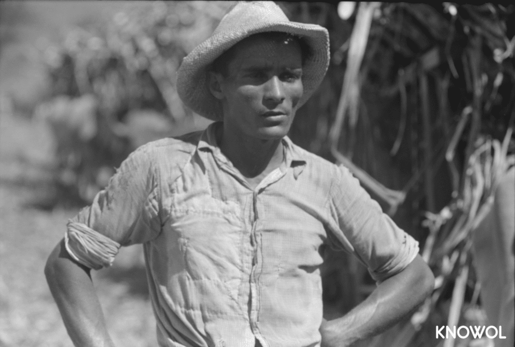 Farm laborer working in a sugar field near Guanica, Puerto Rico in January 1942.
