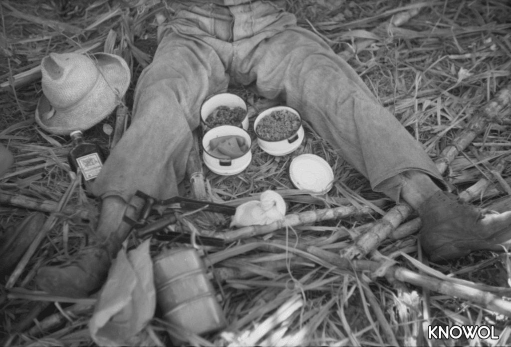 In Guanica, Puerto Rico this was the standard lunch of a sugar plantation worker.