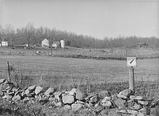 A picture showing the rocky landscape characteristic of Colchester, CT.