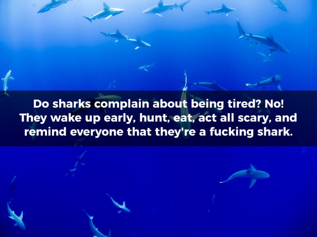 100 inspirational quotes to help you through each day