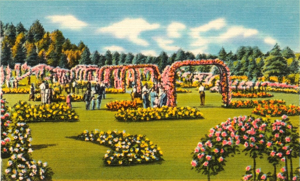 The Pardee Rose Garden is located at 180 Park Road in Hamden, CT.