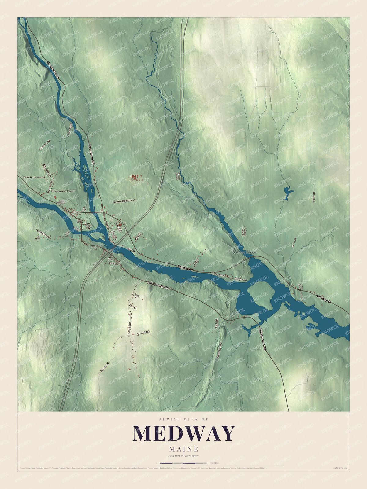 Watermarked full-map preview of Medway, Maine